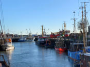 Der Museumshafen in Büsum